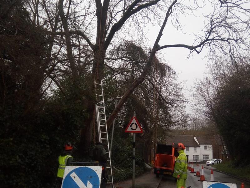 Emergency highway tree works