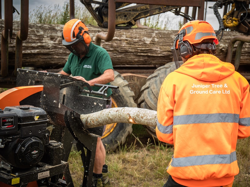 Responsible Tree Surgery