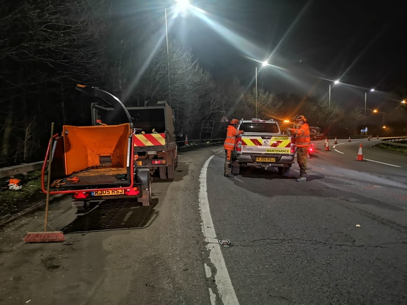 Night time tree works