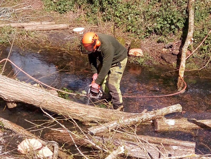 Tree Surgeon Watton